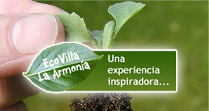 Eco Villa La Armonía, provocación a los sentidos