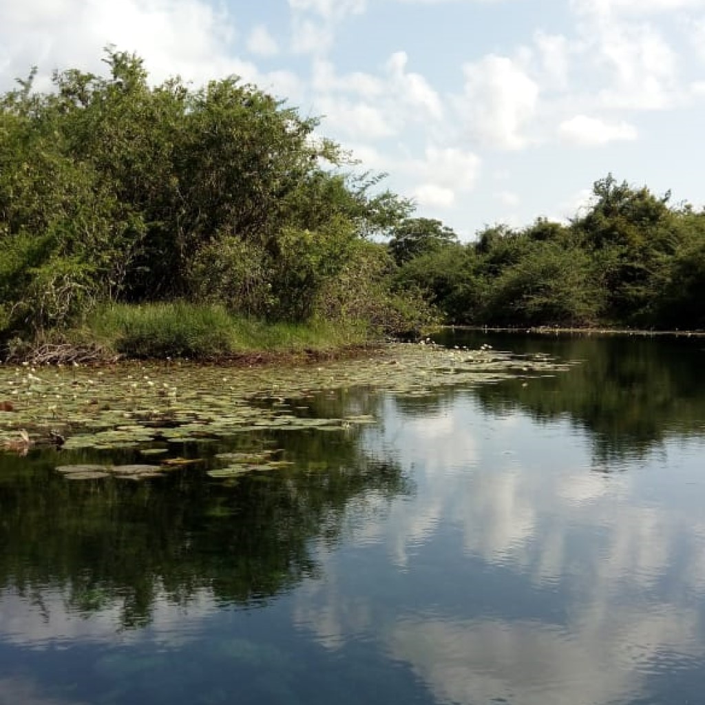 Cráter Azul MayaExotic